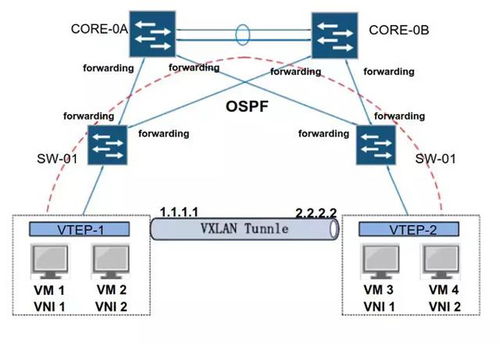 云計算底層技術在企業營銷策劃中的創新應用 虛擬網絡設備bridge、vlan與vxlan的實踐解析
